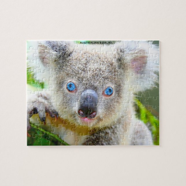 Puzzle Koalas australien (Horizontal)