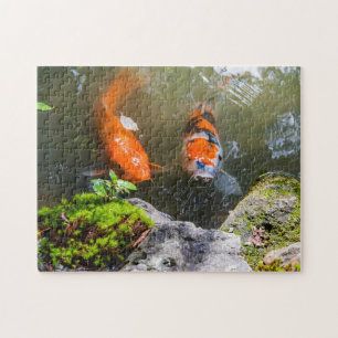 Puzzle Koi fish in a pond