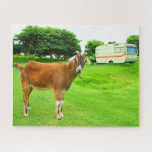 Puzzle LA CHÈQUE QUIRKY 16x20 POUCE