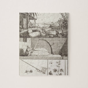 Puzzle La culture du coton, du 'Encyclopedia