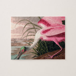 Puzzle La faune des oiseaux d'Audubon de Spoonbill Roseat
