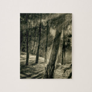Puzzle La forêt noire et blanche fraîche Sun rayonne des