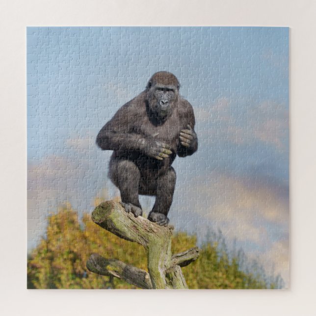 Puzzle La loi sur l'équilibre des arbres de Gorilla (Vertical)