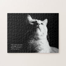 La lumière de la légende