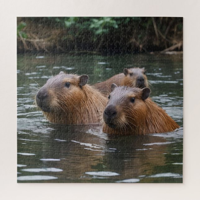 Puzzle La Nage Des Capybaras Dans La Rivière, (Vertical)