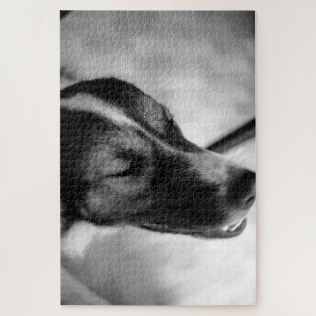 Puzzle La nuit du chien (Vertical)