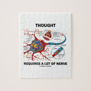 Puzzle La pensée exige beaucoup de nerf (neurone/synapse)