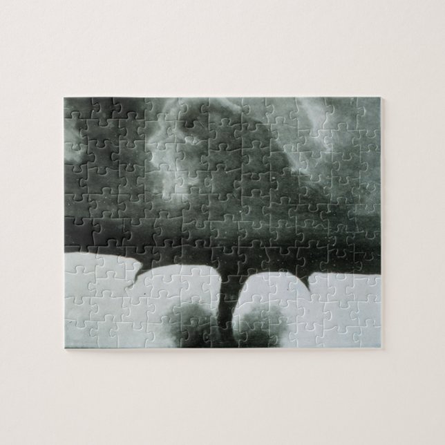 Puzzle La photographie connue la plus ancienne d'une (Horizontal)