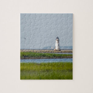 Puzzle la savane la Géorgie de phare d'île d'ergot de c