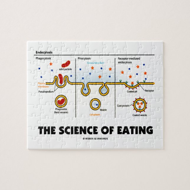 Puzzle La science de l'alimentation (Humour de biologie d (Horizontal)