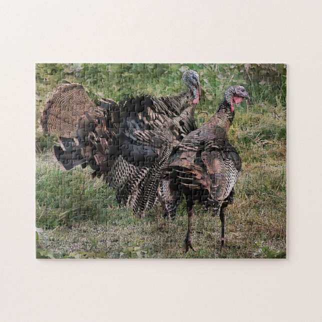 Puzzle La Turquie sauvage avant le combat (Horizontal)