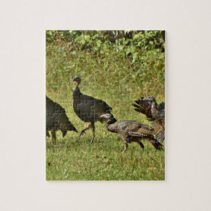 Puzzle La Turquie sauvage, couleurs de camouflage