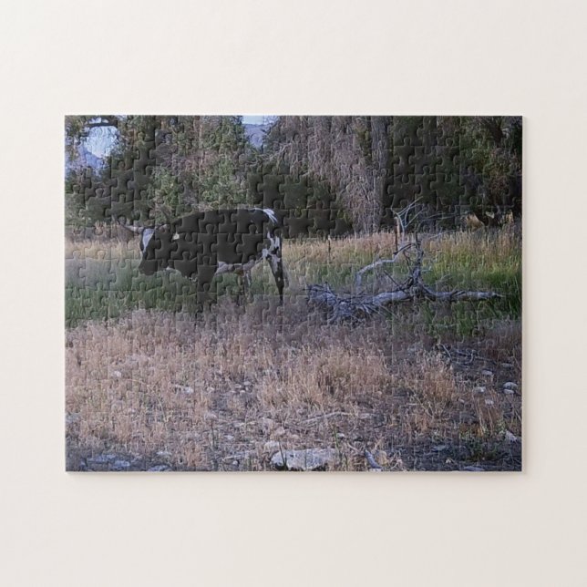 Puzzle La vache longhorne dans le pâturage (Horizontal)