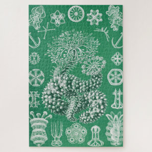 Puzzle La vie marine Thuroidea Gurkensterne par Ernst Hae