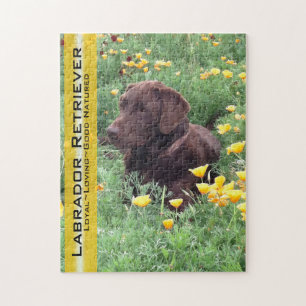 Puzzle Laboratoire de chocolat en Californie Patch de pav