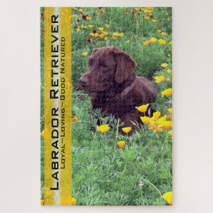 Puzzle Laboratoire de chocolat en Californie Patch de pav