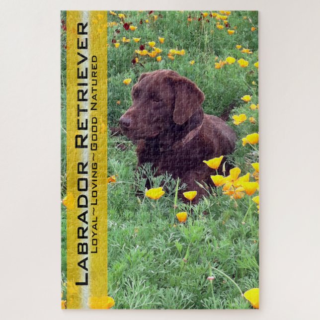 Puzzle Laboratoire de chocolat en Californie Patch de pav (Vertical)