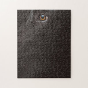 Puzzle laboratoire noir