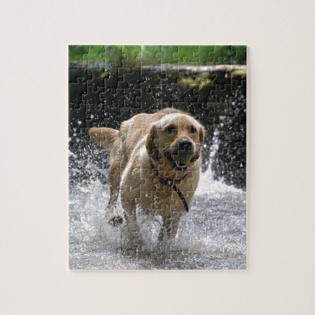 Puzzle Labrador (Vertical)