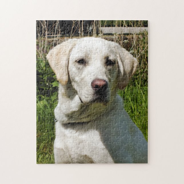 PUZZLE LABRADOR DOG (Vertical)