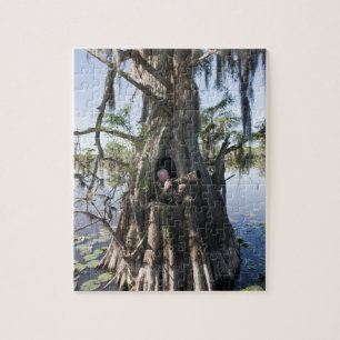 Puzzle Lac Caddo, affût de chasse