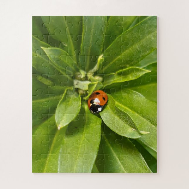 Puzzle Ladybug (Vertical)