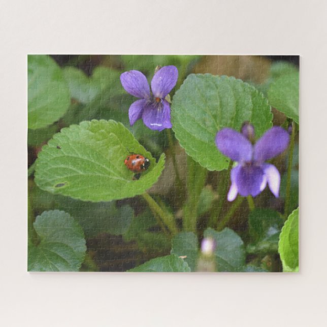 Puzzle Ladybug sur les fleurs de violet doux (Horizontal)