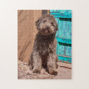 Puzzle Lagotto Romagnolo attendant près d'une porte bleue