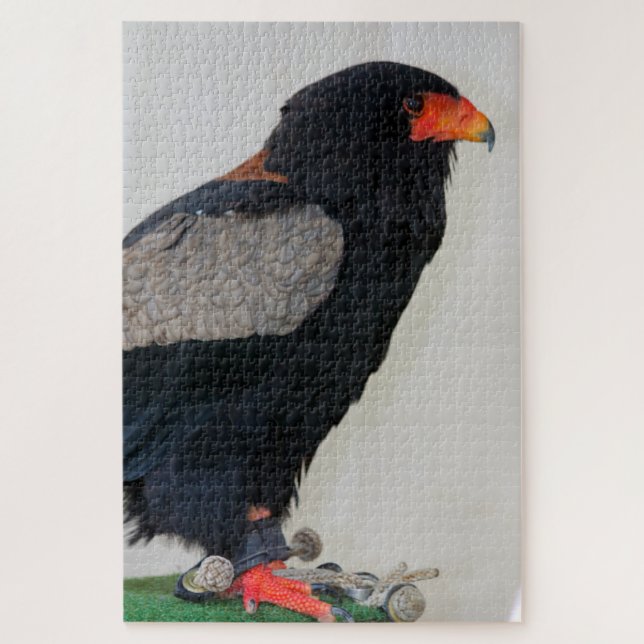 Puzzle L'aigle Bateleur (Vertical)