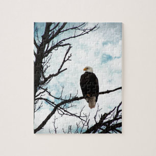 Puzzle L'aigle des chauves-souris dans un arbre au ciel b