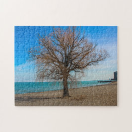 Puzzle Lake Michigan Chicago Beach