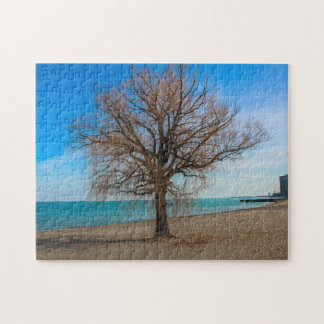 Puzzle Lake Michigan Chicago Beach