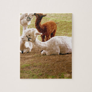 Puzzle Lamas avec le bébé Cria