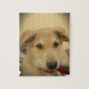 Puzzle L'amour pour les chiots : le meilleur ami de l'hom