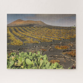 Puzzle Landschaft von Lanzarote - Weinberg