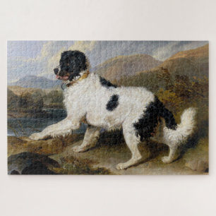 Puzzle Landseer Newfoundland Dog (animal noir et blanc)