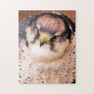 PUZZLE LANNER FALCON
