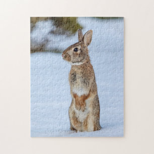 Puzzle Lapin dans la neige