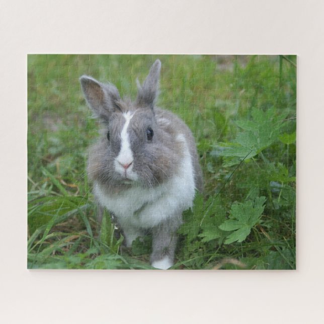 Puzzle Lapin lapin (Horizontal)