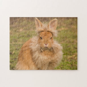 Puzzle Lapin lapin à tête de lionne rouge à chair soup