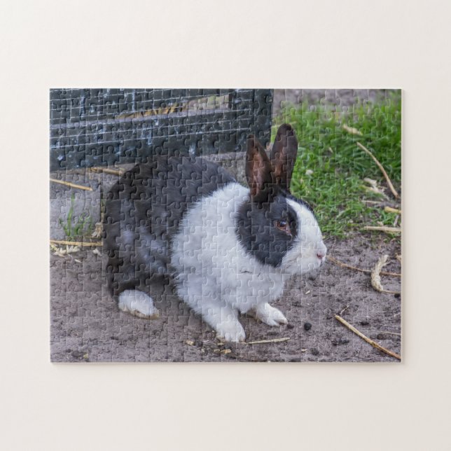 Puzzle lapin lapin lapin (Horizontal)