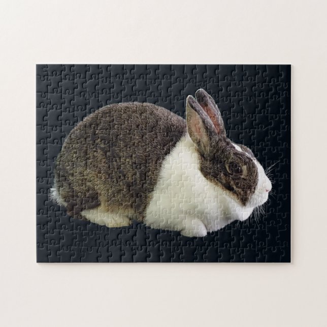 Puzzle Lapin néerlandais Brown et blanc (Horizontal)