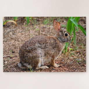 Puzzle Lapin sauvage mignon
