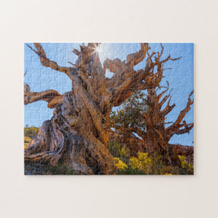 Puzzle L'arbre sentinelle