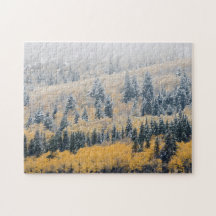 Larches gelées aux couleurs de l'automne
