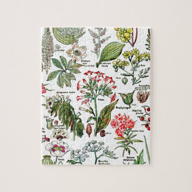 Puzzle Larousse Plantes, Fruits, Jardin Fleur Nature Art (Vertical)