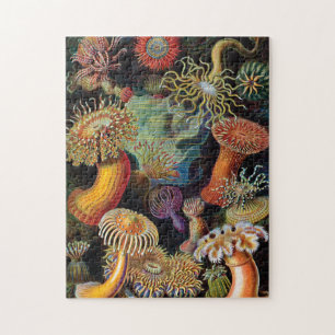 Puzzle L'art de la nature par Ernst Haeckel