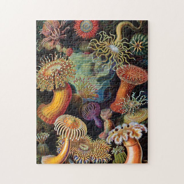 Puzzle L'art de la nature par Ernst Haeckel (Vertical)