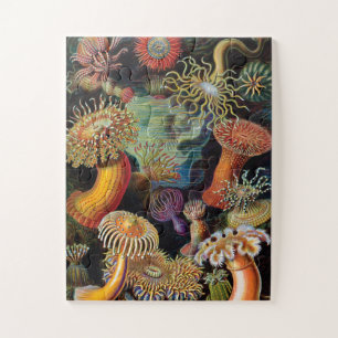 Puzzle L'art de la nature par Ernst Haeckel