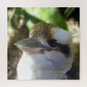 Puzzle L'Australien Kookaburra,